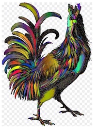 a colorful rooster on a transparent background